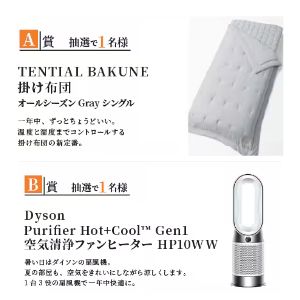 Dyson 空気清浄ファンヒーター 他