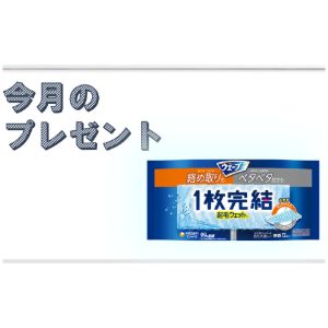 ウェーブフロア用起毛ウェットシート12枚