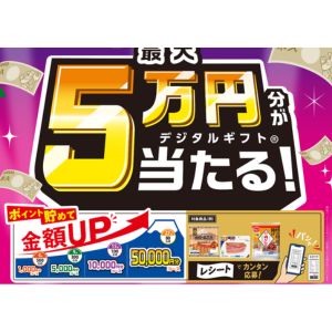 デジタルギフト 最大5万円分