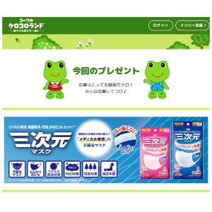 三次元マスク 2種セット