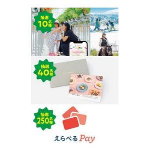 アソビュー！体験ギフト 総合カタログ Happiness 他