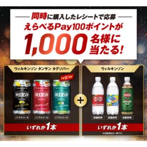 えらべるPay 100ポイント