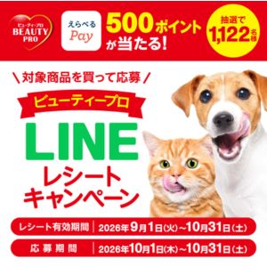 えらべるPay 500円分