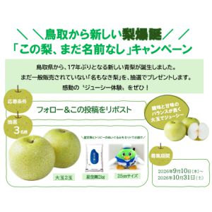 鳥取梨「鳥園L」＆米「星空舞」＆トリピーぬいぐるみ