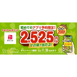 PayPayポイント2,525円分