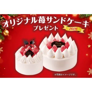 オリジナル苺サンドケーキ 5号 他
