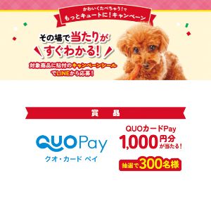QUOカードPay 1,000円分