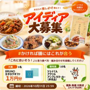 BRUNO カタログギフト1万円相当 他