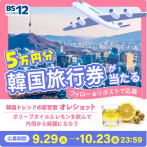 韓国旅行券5万円