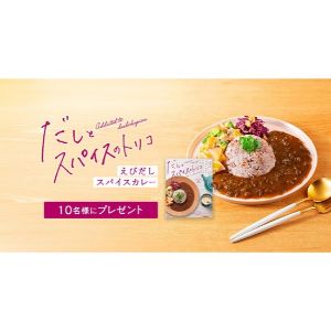 だしとスパイスのトリコ えびだしスパイスカレー