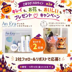 プリザーブドフラワー 他