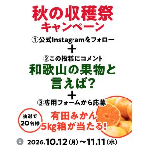 有田みかん 5kg箱