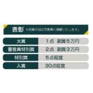 賞金5万円 他