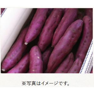 香川県産サツマイモ「坂出金時かんしょ」L～Mサイズ 5kg
