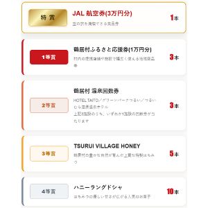 JAL航空券3万円分 他