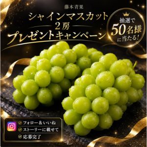 シャインマスカット2房入