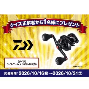 ダイワ 両軸リール ライトゲーム X 100H-DH(右)