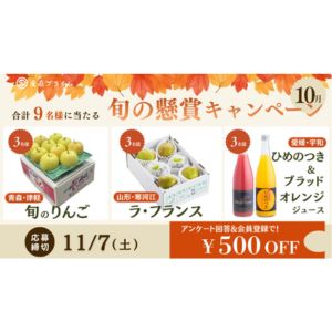 JAつがる弘前　旬のりんご 3kg 他