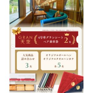 GRAN 天空 グランシートペア乗車券 他