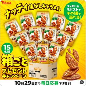 ナッティ 焦がしキャラメル 1箱