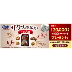 銀のスプーン ザクッと食感 無料サンプル