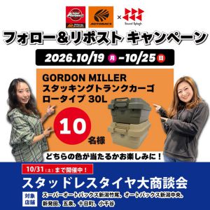 スタッキングトランクカーゴ