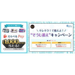 えらべるPay 1,000ポイント 他