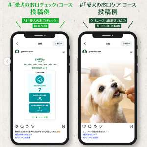グリニーズ™お楽しみセット