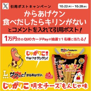 QUOカードPay 1万円分