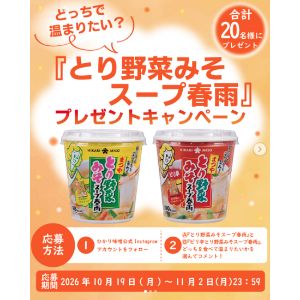 とり野菜みそスープ春雨セット 他