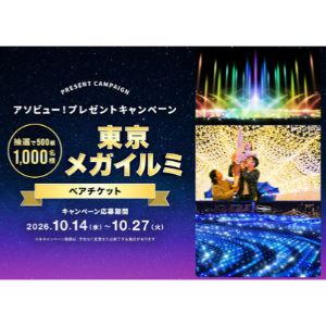 東京メガイルミ ペアチケット
