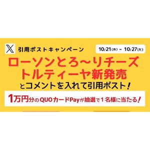 QUOカードPay 1万円分
