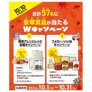 ブルーノガラスエアフライヤー 他