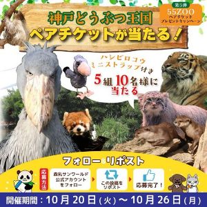 神戸どうぶつ王国 ペア招待券 他
