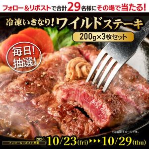 冷凍いきなり!ワイルドステーキ 200g×3枚セット