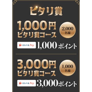 えらべるPay 3,000円分 他