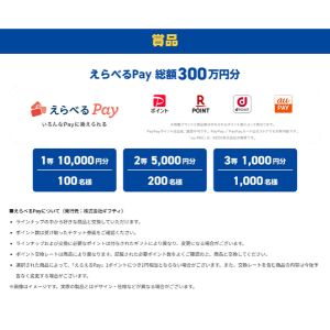 えらべるPay 1万円分 他
