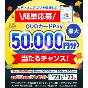 エディオングループ専用QUOカードPay 5万円分 他