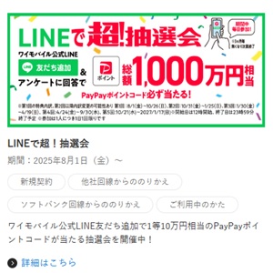 PayPayポイント 最大10万円相当