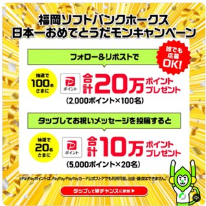 PayPayポイント5,000円相当 他