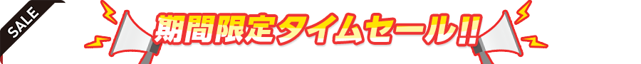 期間限定タイムセール限界ポイントアップ挑戦中！