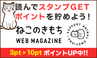 ねこのきもちを読んでポイントを貯めよう！