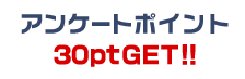 アンケートポイント300ptGET!